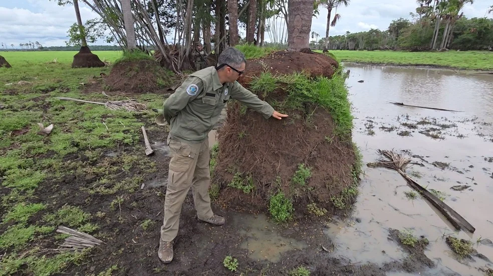 Analista do ICMBio mostra onde deveria estar o solo compactado por búfalos em Rondônia — Foto: Vinicius Assis/Rede Amazônica